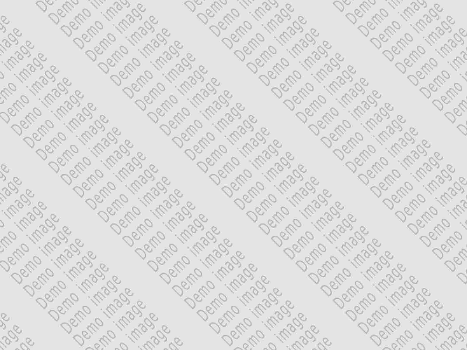 Demo Image