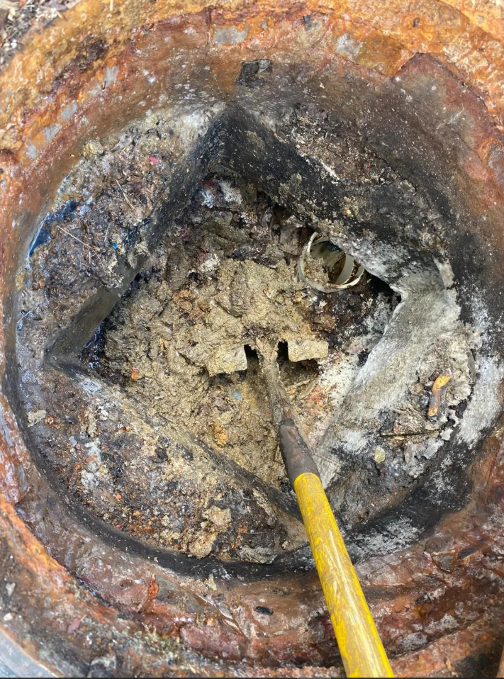 After septic tank cleaning