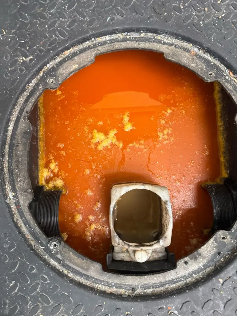 Before wastewater and sludge removal